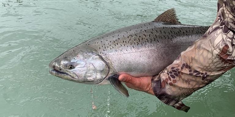 Kenai River Fishing Guides | 10hrs River Fishing